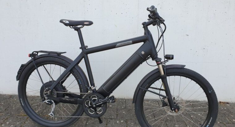 Stromer ST1 Mountain E-Bike